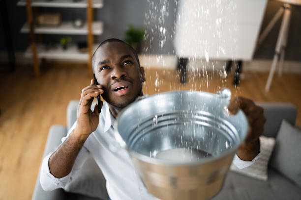 Best 24/7 water damage repair  in Holualoa, HI