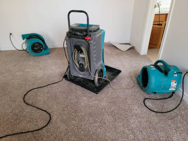 Best Local water damage restoration  in Holualoa, HI