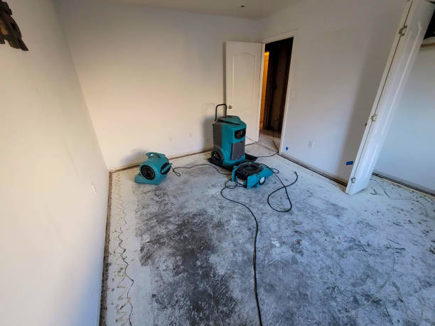 Best Flood restoration services  in Holualoa, HI