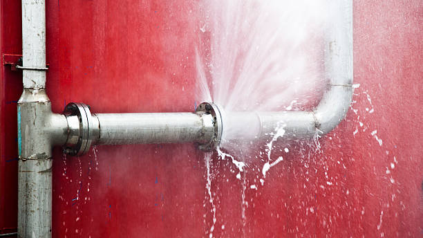 Holualoa, HI Water damage restoration Pros