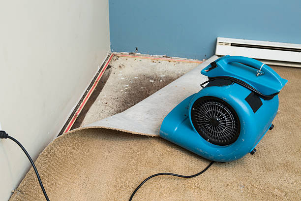Best Water damage restoration services  in Holualoa, HI